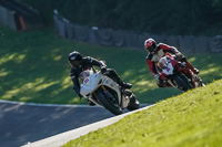 brands-hatch-photographs;brands-no-limits-trackday;cadwell-trackday-photographs;enduro-digital-images;event-digital-images;eventdigitalimages;no-limits-trackdays;peter-wileman-photography;racing-digital-images;trackday-digital-images;trackday-photos